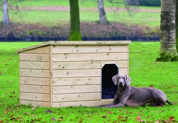 Niche en bois - TECKEL