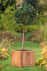 Jardinière carrée en Teck...