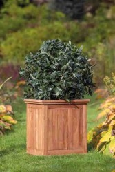 Jardinière rectangulaire en...