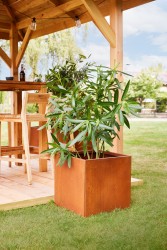 Jardinière carrée en Acier...