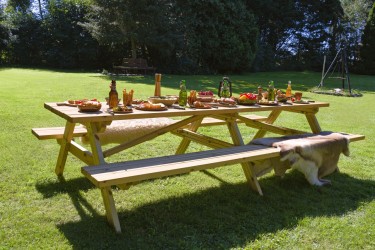 TABLE DE PIQUE-NIQUE...